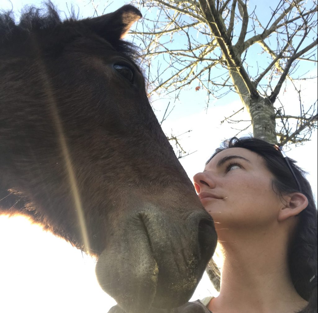 Développement personnel et professionnel grâce au cheval