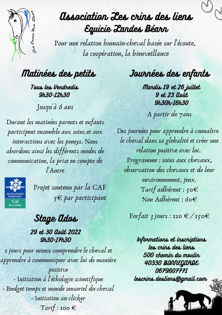 équicie landes béarn, programme de l'été. Matinées des petits, journées des enfants, stage ado,